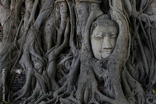 buddha head © Giambuay