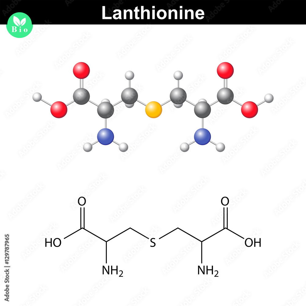 Lanthionine nonproteinogenic alpha- amino acid molecule