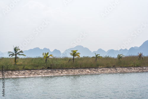 Halong bay palm view  Vietnam
