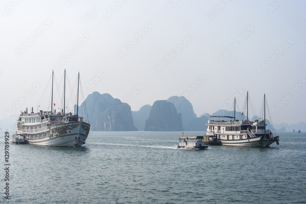Fototapeta premium Cruise boat on Halong bay, Vietnam