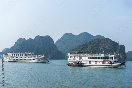 Cruise boat on Halong bay, Vietnam © Alexey Pelikh