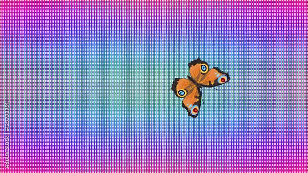 Video Animation of illustration seamless loop Butterfly inachis io rainbow checkered background
Video Animation of illustration seamless loop Butterfly inachis io rainbow checkered background
