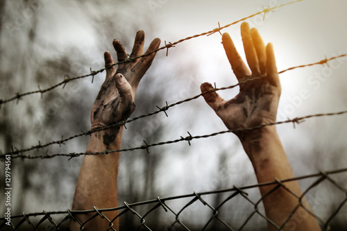 Refugee men and fence photo