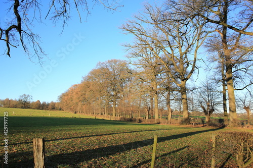 Autumn landscape in the Province Limburg, The Netherlands