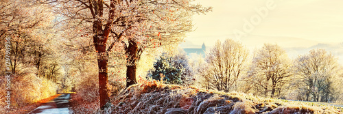 Winter Landscape Panorama, Germany photo