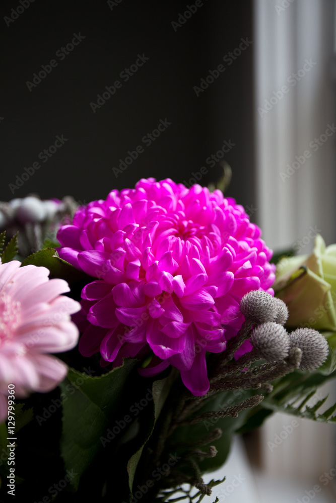Vibrant Pink and Green Flowers