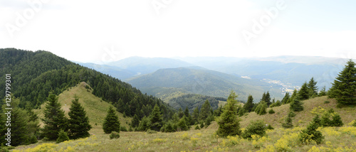 Beautiful landscape of Carpathian mountains in Romania, panorama view © axynia