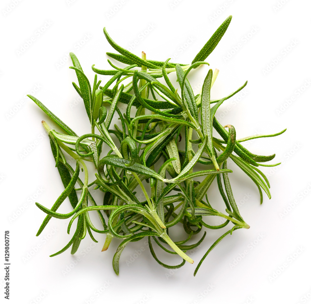 Fototapeta premium Rosemary isolated on white, from above