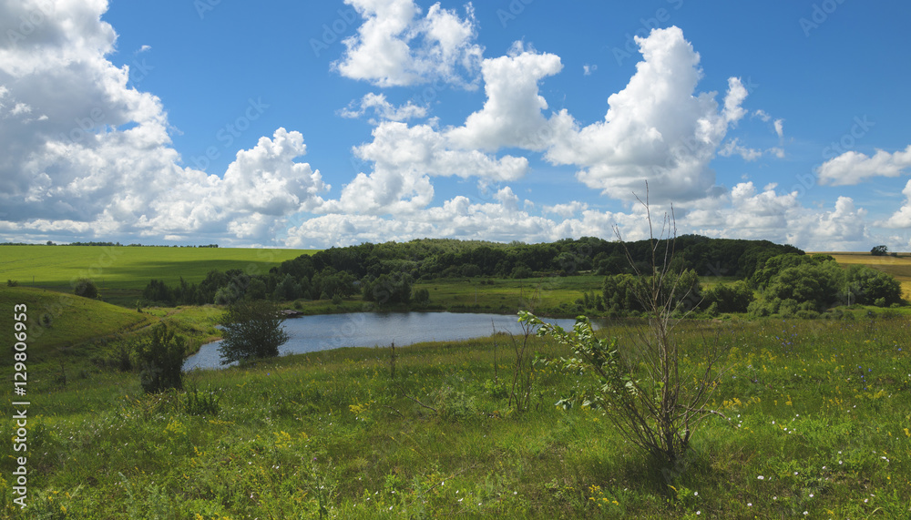 Obraz premium Summer landscape with river