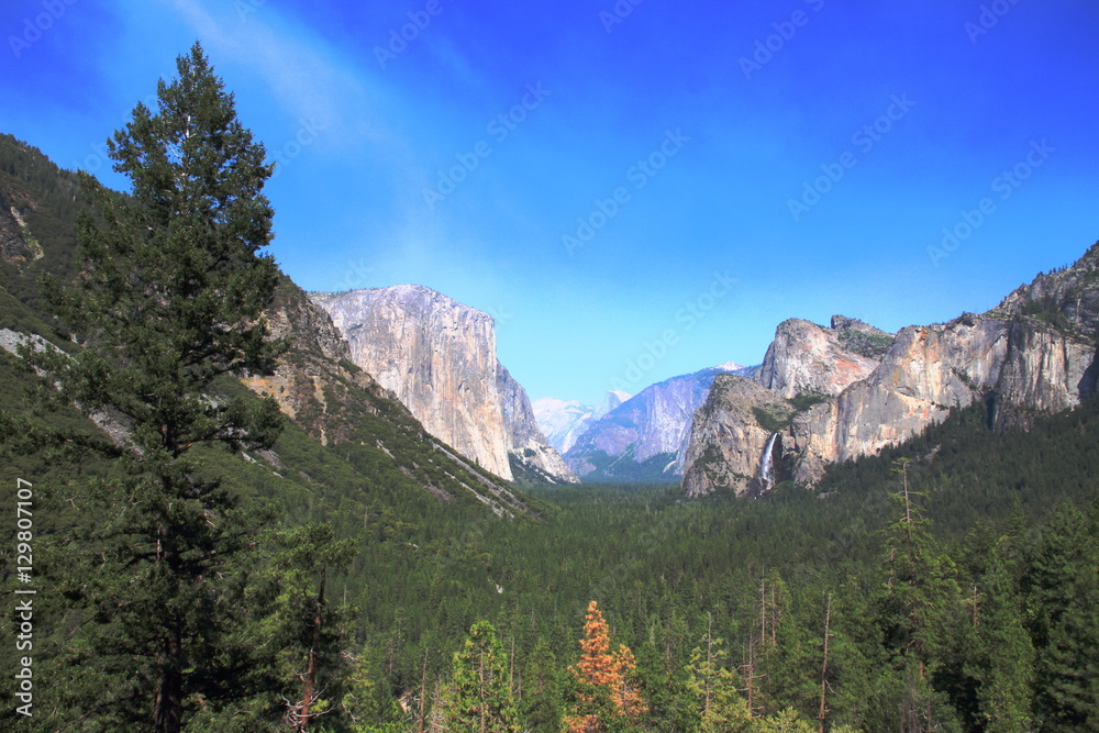 Yosemite Park - California