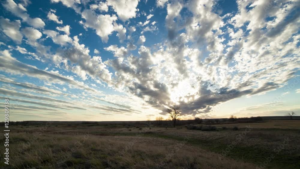 Timelapse afternoon clouds streaming over lone tree on prairie