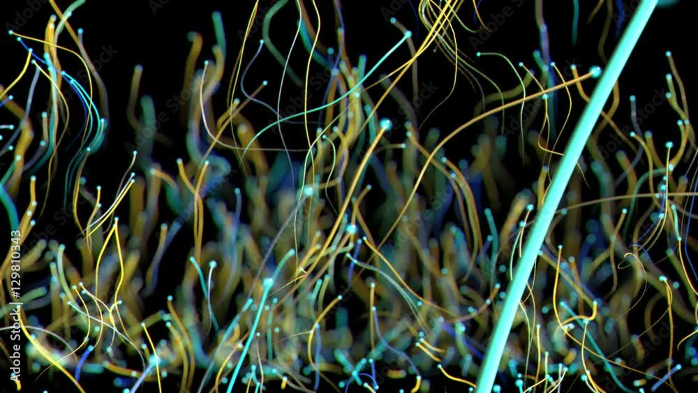 Particles