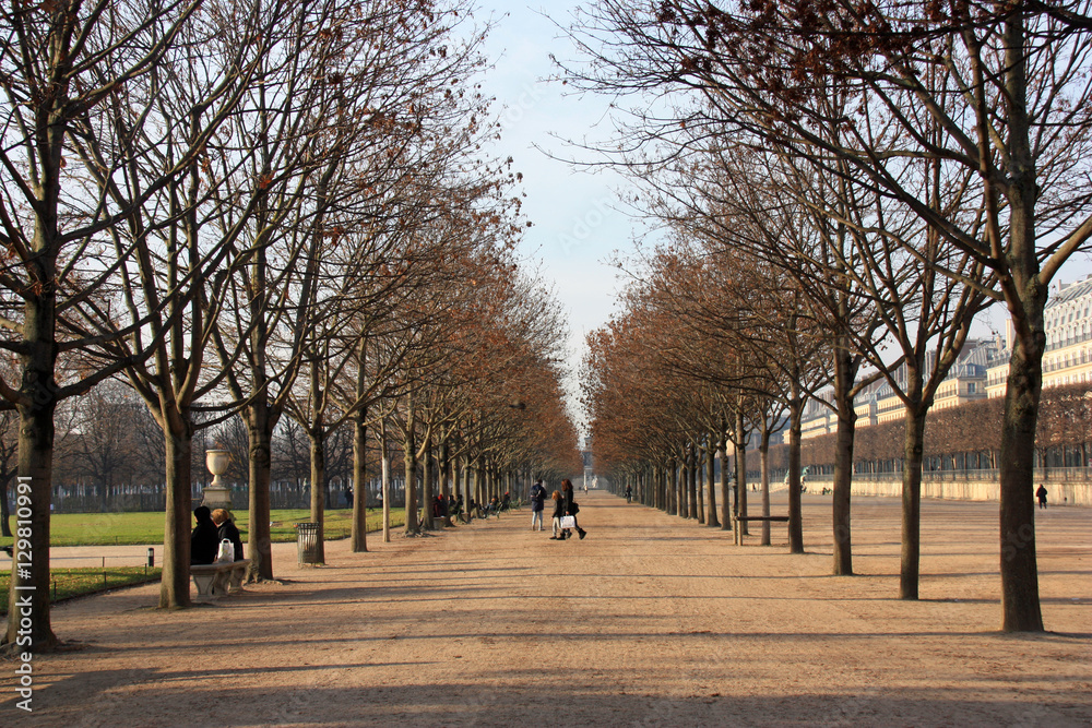 Allées du Jardin des Tuileries en hiver à Paris, France