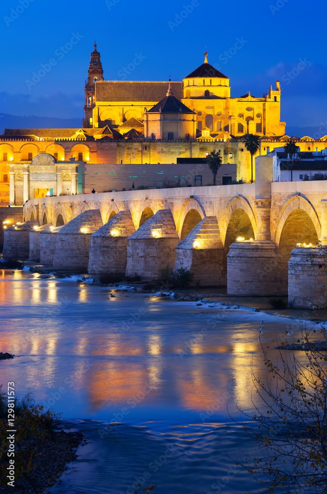 Mosque of Cordoba and Roman bridge in night