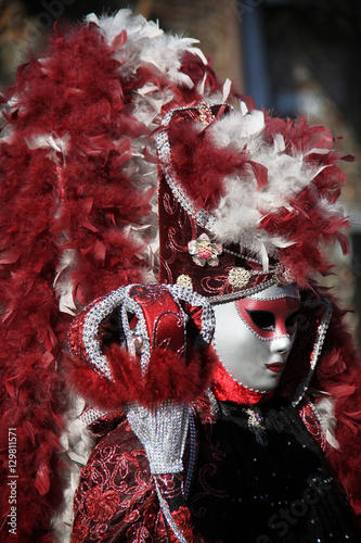 Fototapeta Naklejka Na Ścianę i Meble -  Venice Carnival 2016