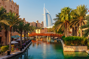 Wandcirkels Dubai Stadspark met palmbomen in Dubai  © oleg_p_100