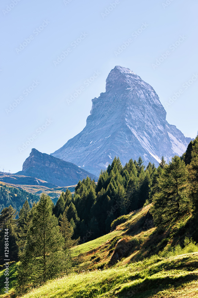 Obraz premium Matterhorn mountain and green forest at Zermatt in Switzerland