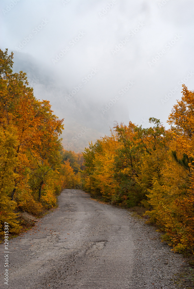 Empty country road in autumnal forest in Crimean mountains
