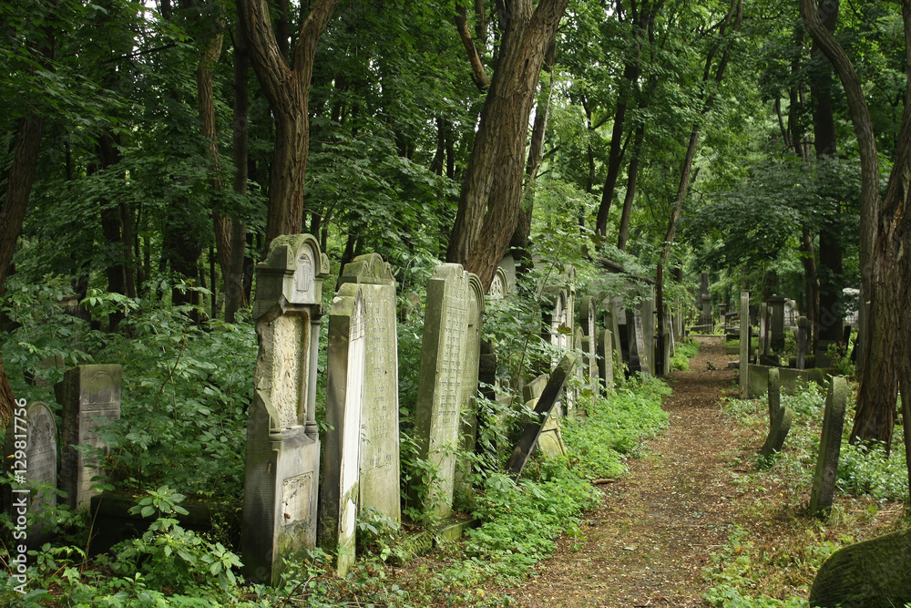 jewish cemetery, zydowski, warsaw, poland