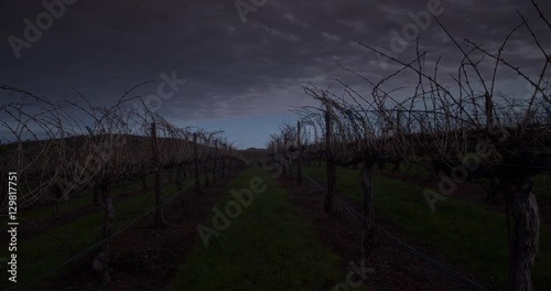 Vineyard Spring Sunset. Footage from Northern California. photo