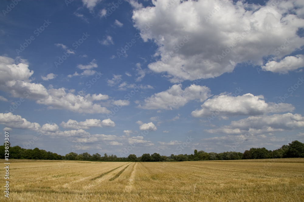 Obraz premium Sommerfeld