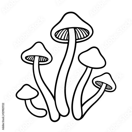 Mushrooms line illustration.