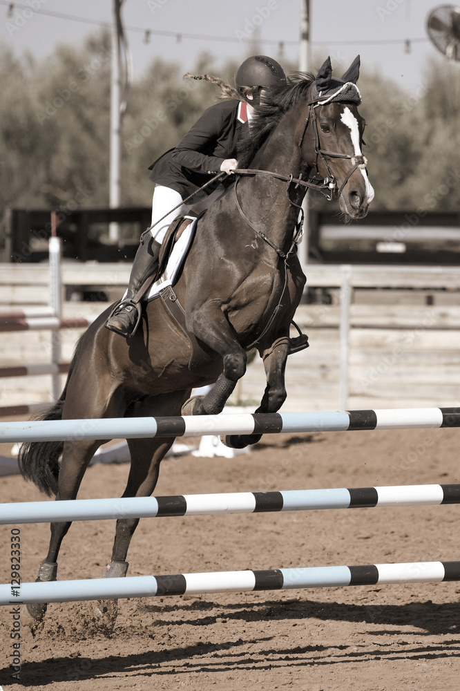 Rider on horse jumping over a hurdle during the equestrian event Rider on horse jumping over a hurdle during the equestrian event