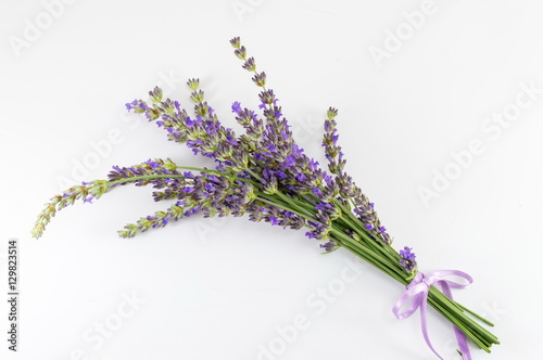Lavender flower branches bouquet on white
