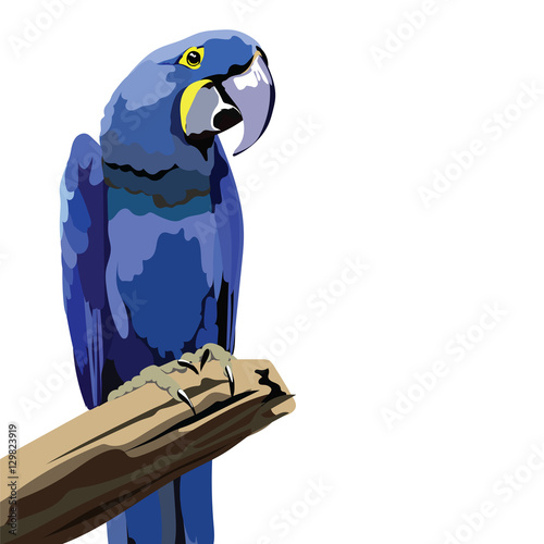 Colorful parrot on a branch Vector illustration