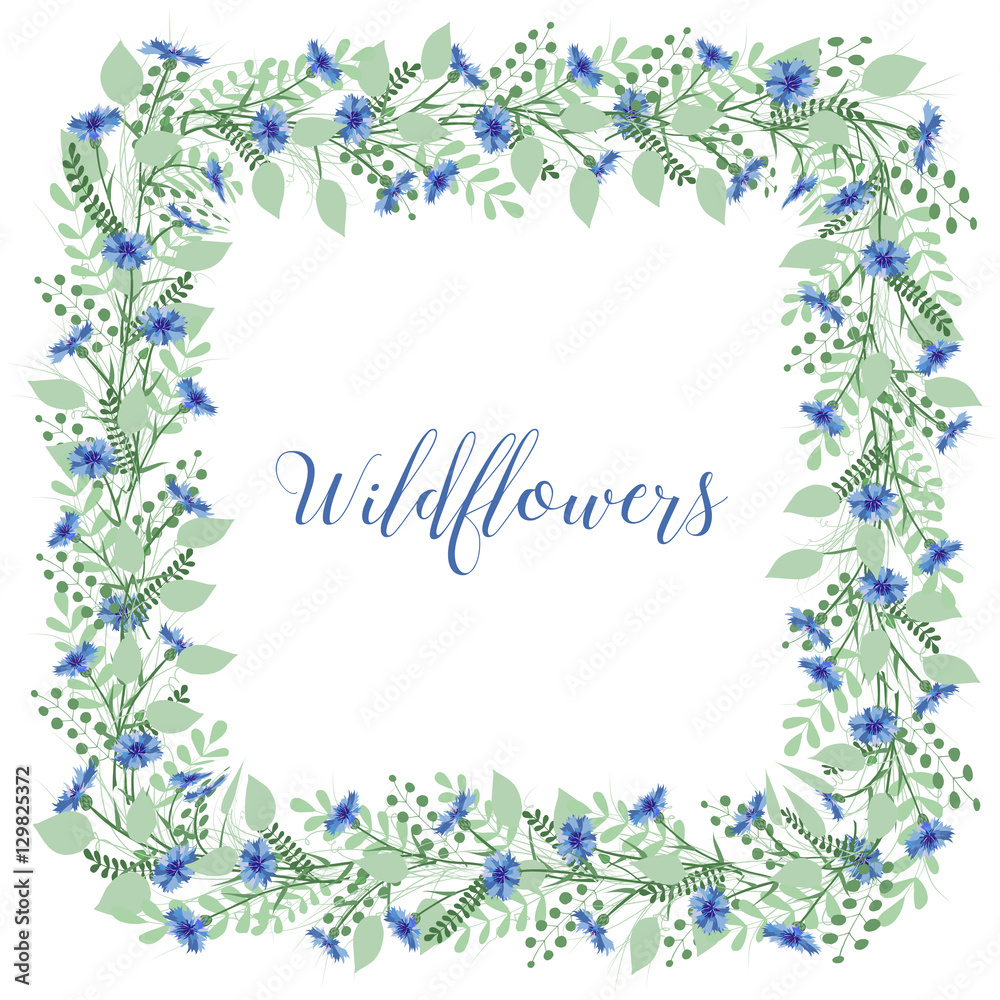 The wreath of cornflowers flowers on a white background. Decor element.