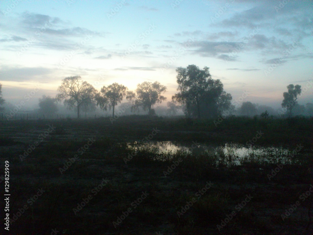 Morgendliche Nebelstimmung im Chaco Morgendliche Nebelstimmung im Chaco