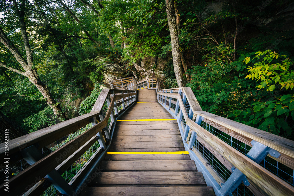 Obraz premium Stairways at Chimney Rock State Park, North Carolina.
