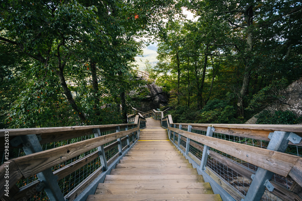 Fototapeta premium Stairways at Chimney Rock State Park, North Carolina.