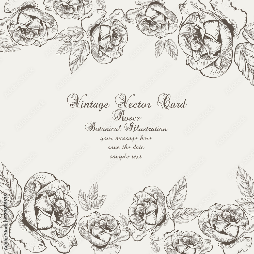 Floral Vector Vintage Invitation card. Black and white Garden Roses ...