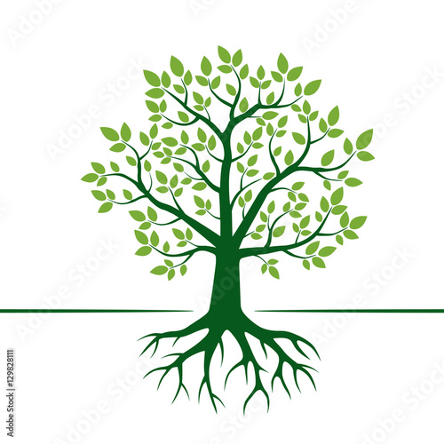 Green Vector Tree and Roots. Vector Illustration.