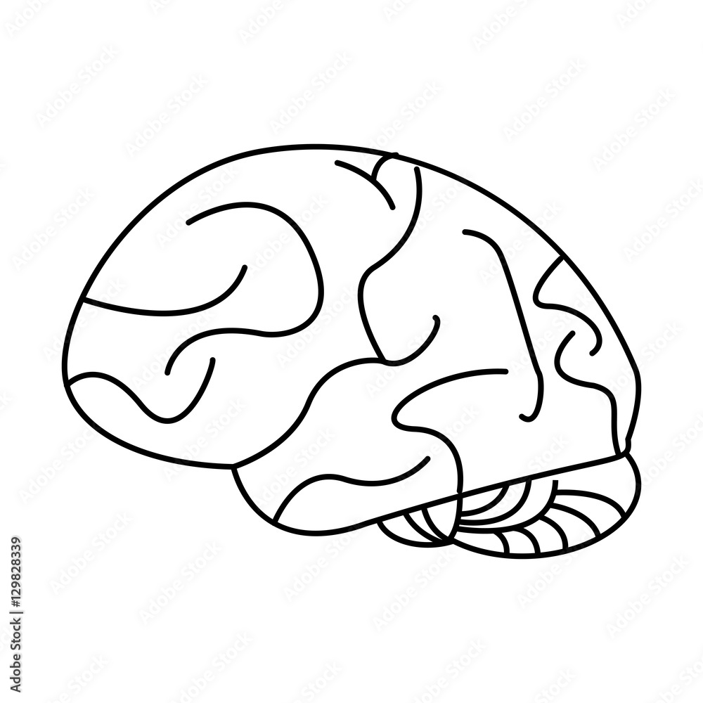 human brain idea creativity outline vector illustration eps 10 - obrazy, fototapety, plakaty 