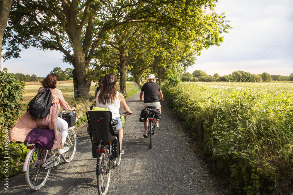 Sweden, Blekinge, Solvesborg, Rear view of man and women riding bicycles on country road Sweden, Blekinge, Solvesborg, Rear view of man and women riding bicycles on country road