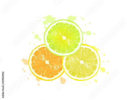 slices citrus on white background