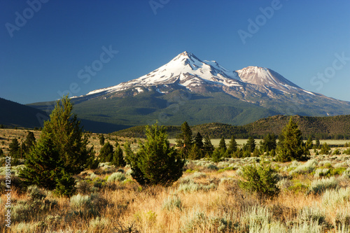 Mount Shasta