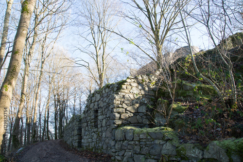 Löwenburg Ruine; Siebengebirge, Herbst 