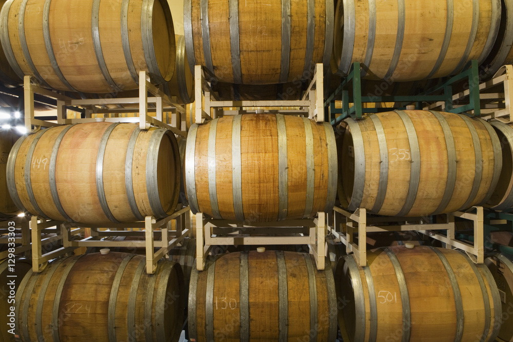 Rows of wooden wine barrels in winery cellar