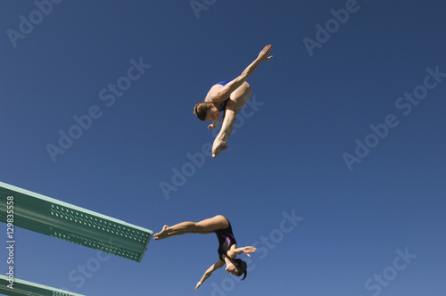 Wall Mural Low angle view of two female divers diving in midair against clear sky