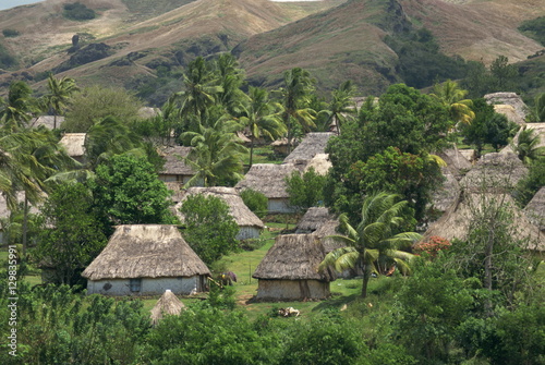 Traditional bures on regular grid pattern, last old style village, Navala, Viti Levu Island, Fiji photo