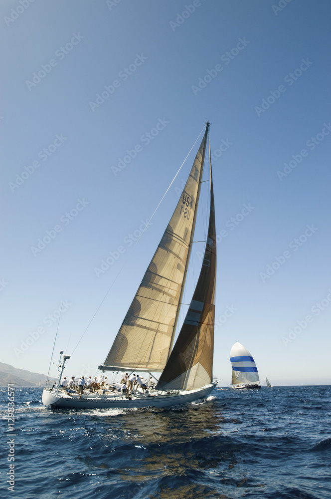 Back view of sailboats racing in the blue and calm ocean against clear sky