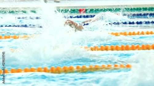 Professional female swimmer swimming in the pool photo