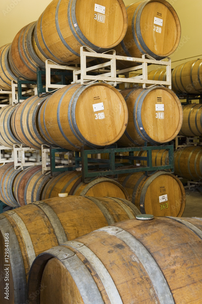 Wooden wine barrels in winery cellar Wooden wine barrels in winery cellar