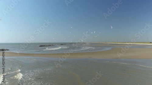 AERIAL: Flock of seagull birds flying above the sandy beach