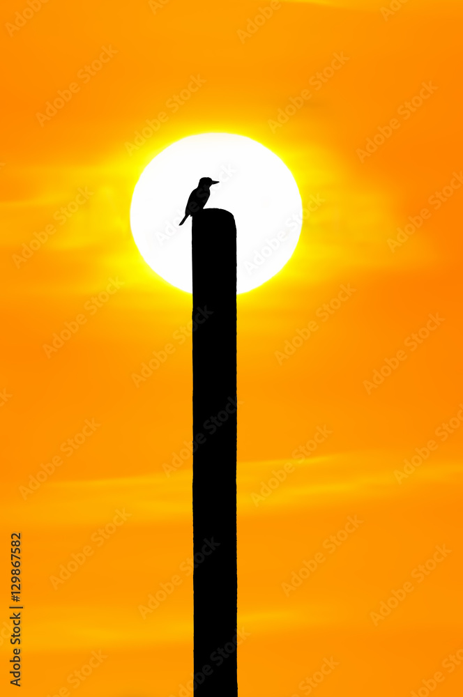 Silhouette of bird on wood over bright golden sun rising