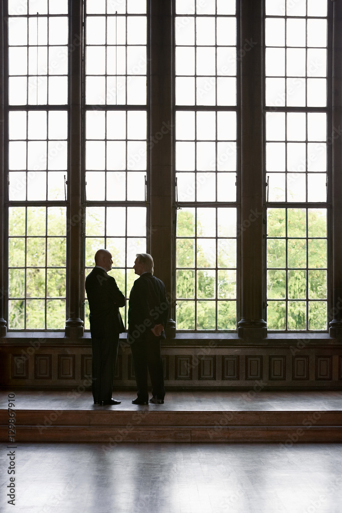 Rear view of two businessmen standing by tall windows