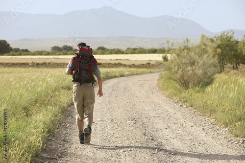 Rear view of young man with backpack walking on country road